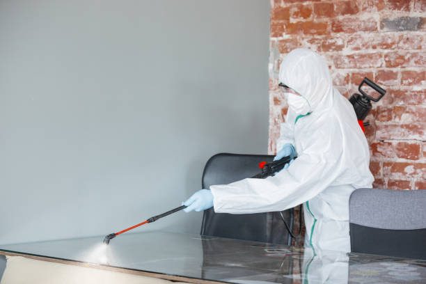  Uhland, TX Mold Removal Pros